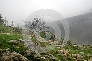 Archaeological site of Mycenae