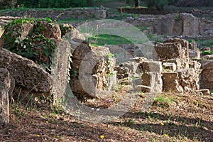 Archaeological Site of Olympia, Greece.