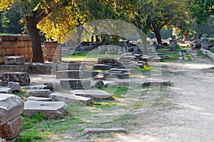 Archaeological Site of Olympia, Greece.