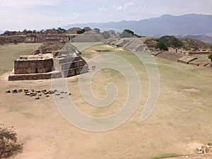 archaeological site, ruins of Monte Alban in Oaxaca, Mexico