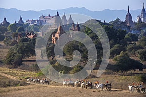 Archaeological Zone - Bagan - Myanmar (Burma)