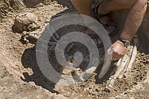 Archeologo scavo scheletro 