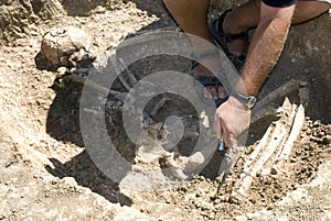 Archaeologist excavating skeleton