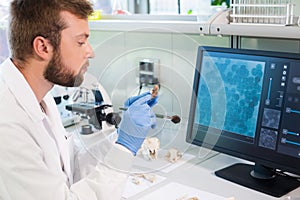 Archaeologist working in natural research lab. Laboratory assistant cleaning animal bones. Archaeology, zoology