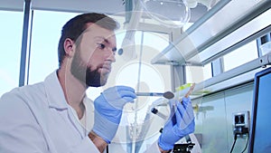 Archaeologist working in natural research lab. Laboratory assistant cleaning animal bones. Archaeology, zoology