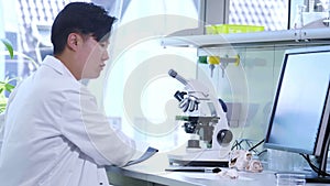 Archaeologist working in natural research lab. Laboratory assistant cleaning animal bones. Archaeology, zoology