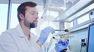 Archaeologist working in natural research lab. Laboratory assistant cleaning animal bones. Archaeology, zoology