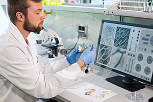 Archaeologist working in natural research lab. Laboratory assistant cleaning animal bones. Archaeology, zoology