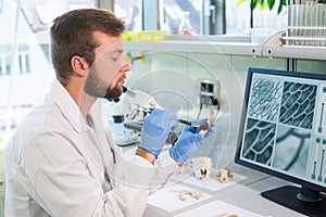 Archaeologist working in natural research lab. Laboratory assistant cleaning animal bones. Archaeology, zoology