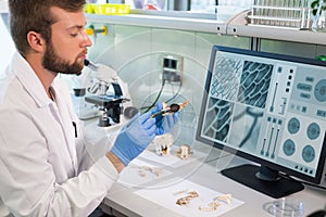 Archaeologist working in natural research lab. Laboratory assistant cleaning animal bones. Archaeology, zoology