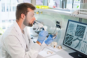 Archaeologist working in natural research lab. Laboratory assistant cleaning animal bones. Archaeology, zoology