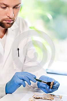 Archaeologist working in natural research lab. Laboratory assistant cleaning animal bones. Archaeology, zoology