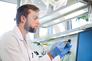 Archaeologist working in natural research lab. Laboratory assistant cleaning animal bones. Archaeology, zoology