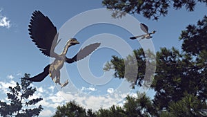 Archaeopteryx birds dinosaurs flying - 3D render photo