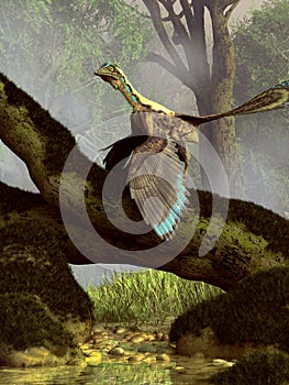 Archaeopteryx in a Forest