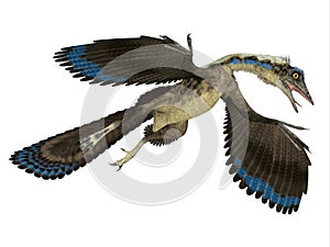 Archaeopteryx Reptile in Flight