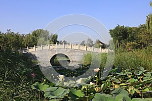Archaize stone bridge in the park