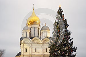 Archangels church of Moscow Kremlin. Color photo.