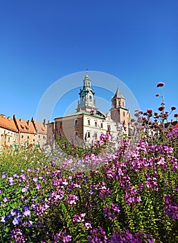 Archcathedral Basilica of St.  Stanislav and St.  Wenceslas in Krakow, Wawel castle, Poland