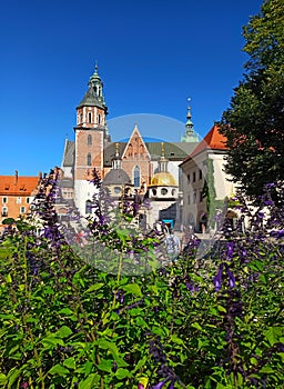 Archcathedral Basilica of St.  Stanislav and St.  Wenceslas in Krakow. Wawel Castle, Poland