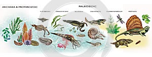 The Archean, Proterozoic and Paleozoic eras