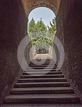 An arched alley stairway to green trees under blue sky.