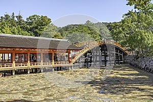 Arched bridge in Itsukushima in Japan.