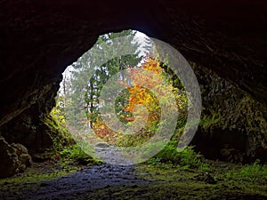 Arched cave view from inside to forest at fall