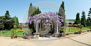 Arched constructionr covered with colorful lilac purple drooping wisteria flowers over a stairs pathway leading to a house