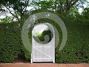 Arched Garden Arbor and Gate photo