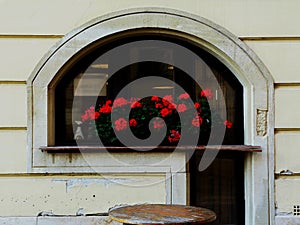 Arched restaurant window with decaying sill and red geraniums