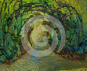 Arched Trees Form A Covered Pathway