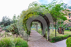 An Arched Trellis Tunnel covered with Vines and Plants at Parc El Harti in Marrakesh Morocco