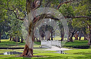 Arched white bridge over lake in parkland