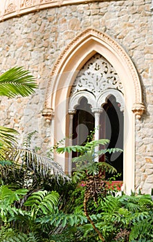 Arched window on a building with plants growing beneath it