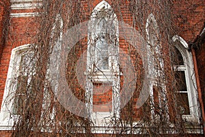 Arched window of castle
