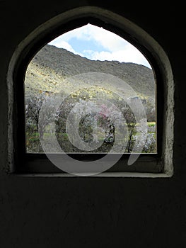 Arched window in an old house. The window to the spring is open and the trees are in bloom. Central cities of Iran.