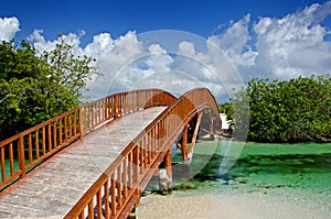 Arched Wooden Bridge photo