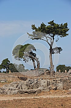 The archeological park of Paestum in Italy