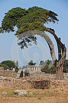 The archeological park of Paestum in Italy