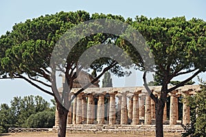 The archeological park of Paestum in Italy