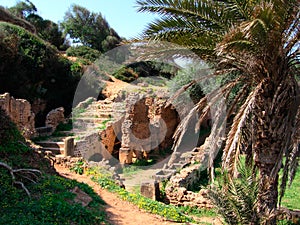 Archeological roman site Tipasa photo