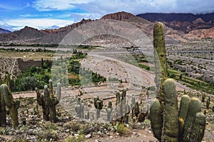 Archeological site Pucara of Tilcara in Jujuy - Argentina photo