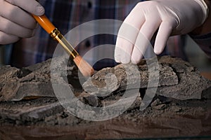 The archeologist working late night in office photo