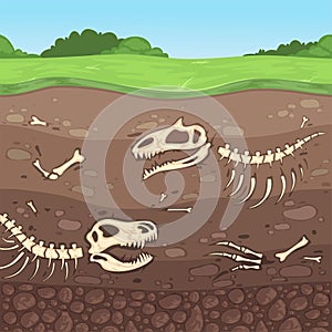 Archeology bones. Underground dinosaur bones soil layers buried clay vector cartoon illustration photo