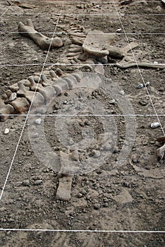 Archeologia scavare 