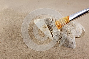 Archeology and forensics bones in sand photo