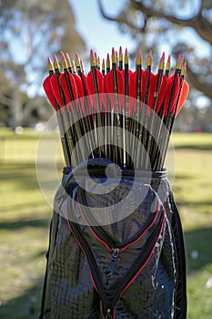 Archer s quiver stocked with arrows symbol of readiness and precision in summer olympic games sport