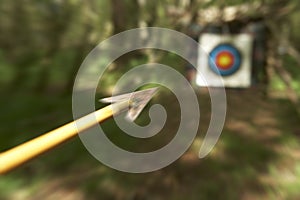 ARCHERY ARROW AIMING AT TARGET IN WOODLAND