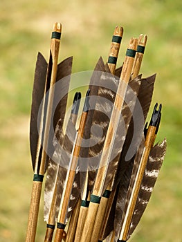 Archery arrows photo